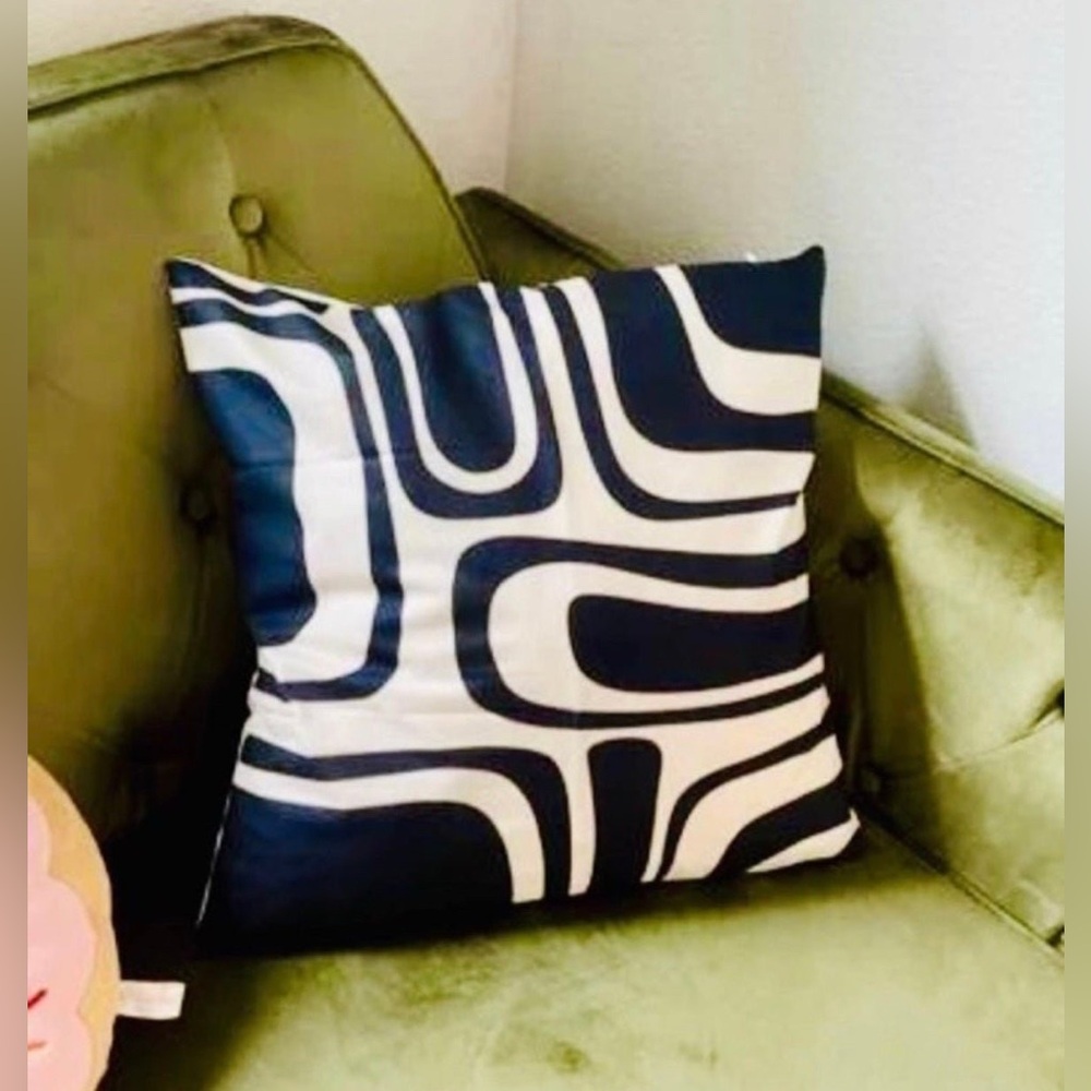 Throw pillows x2